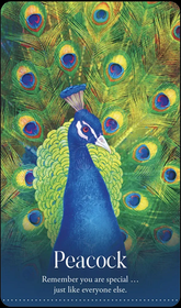 Wild Dreams Animal Oracle by Kelly Sullivan Walden