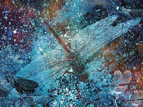 Juliste 'Sudenkorennot' 60*80cm