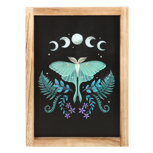 Sisustustaulu puukehyksinen 'Luna Moth' 35*25*2cm