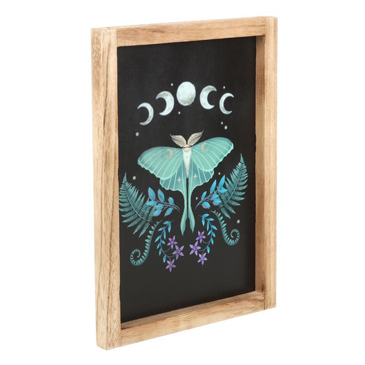 Sisustustaulu puukehyksinen 'Luna Moth' 35*25*2cm