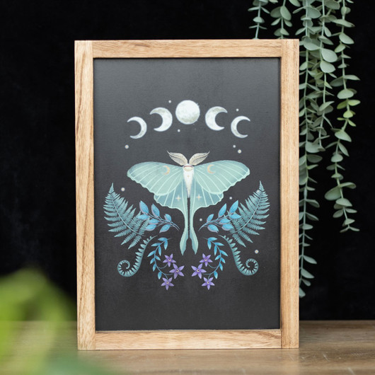 Sisustustaulu puukehyksinen 'Luna Moth' 35*25*2cm