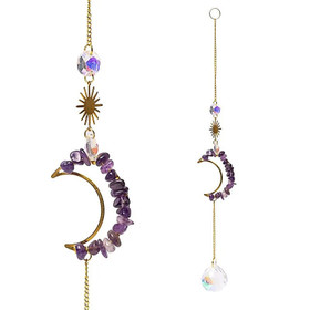 Aurinkosieppari 'Ametistikuu'