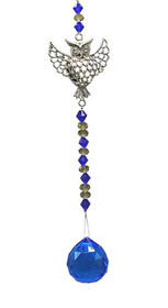 Aurinkosieppari 'Pöllö'