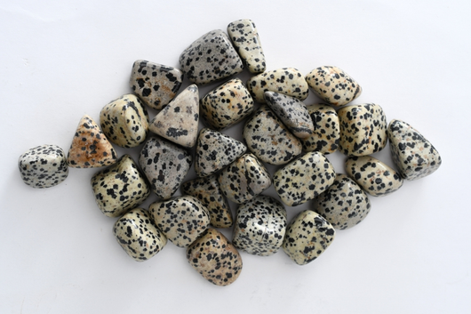 Dalmatianjaspis 20-35mm