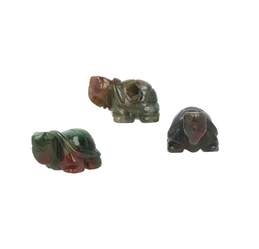 Intian Akaatti Kilpikonna