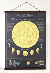 Puinen Julisteripustin / Julistelista magneeteilla 50cm