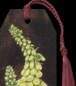 Kirjanmerkki Vintage 'Sormustinkukka' 