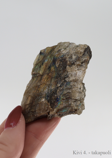 Labradoriitti Kiillotettu Raakapala 50-85mm