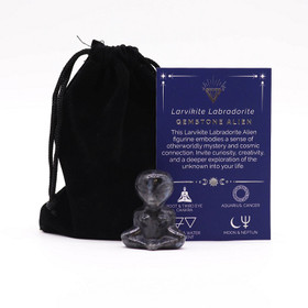 Larvikiitti Labradoriitti Alien 30*40mm