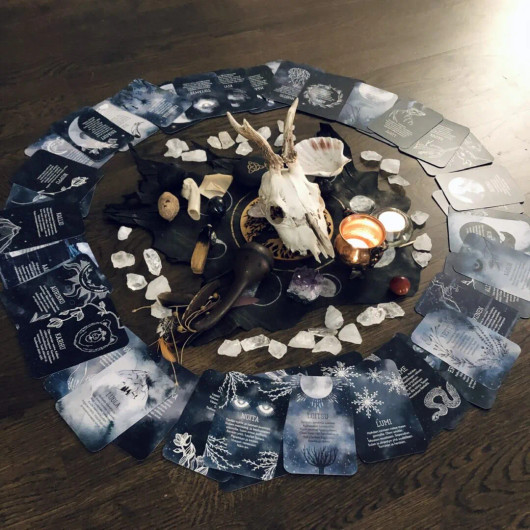 Meri Mort: Villi voima -Voimakorttipakka