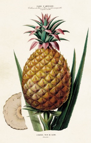 Pakettikortti vintage 'Ananas'