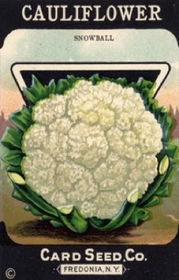 Pakettikortti vintage 'Cauliflower'