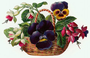 Pakettikortti vintage 'Orvokki'