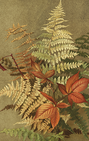 Pakettikortti vintage 'Saniaiset'