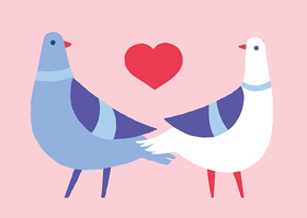 Polkka Jam: Postikortti 'Lintuset'