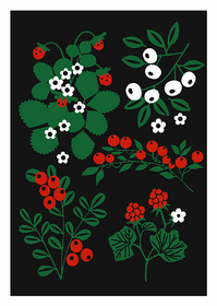 Anne Vasko: Postikortti 'Metsän marjoja'