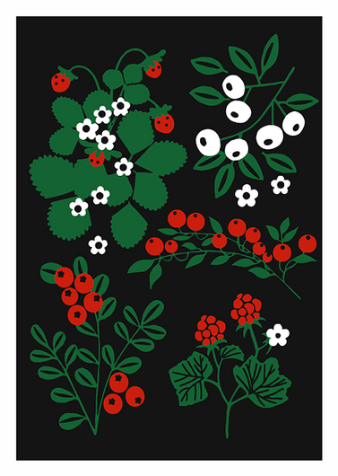 Anne Vasko: Postikortti 'Metsän marjoja'