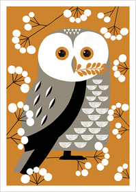 Anne Vasko: Postikortti 'Pöllö'