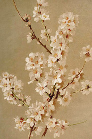 Postikortti vintage 'Sakura'