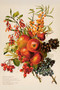 Postikortti vintage 'Syysmarjat'