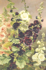 Postikortti vintage 'Salkoruusu'