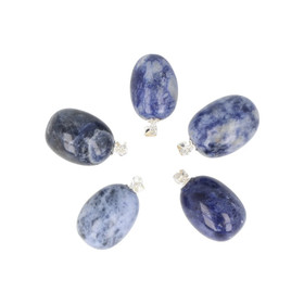 Sodaliitti Hopeariipuksella