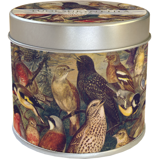 Tuoksukynttilä peltipurkissa Metsä 'Pikkulinnut'