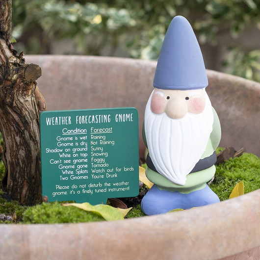Säätonttu 'Weather Forecasting Gnome' 14,5cm