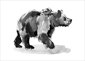 Teemu Järvi: Postikortti 'Karhu'