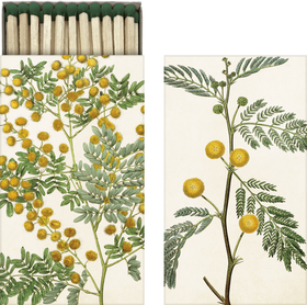 Tulitikkurasia 'Keltakukka' 6*11cm