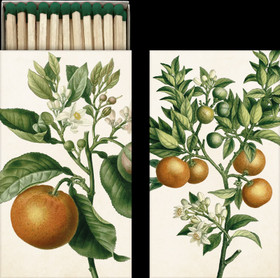 Tulitikkurasia 'Kevät Omena' 6*11cm