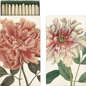 Tulitikkurasia 'Pioni' 6*11cm