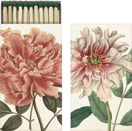 Tulitikkurasia 'Pioni' 6*11cm