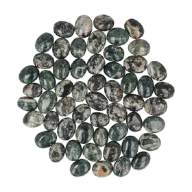 Valtamerijaspis 'Vihreä Taskukivi' 20-30mm