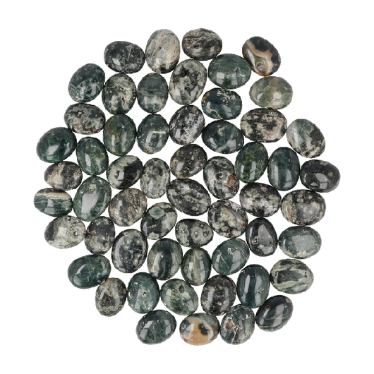 Valtamerijaspis 'Vihreä Taskukivi' 20-30mm