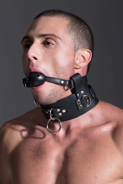 Kaulapanta ja suupallo