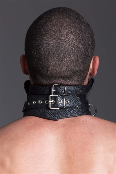 Kaulapanta ja suupallo