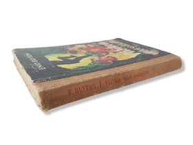 Viisikon uudet seikkailut -kirja