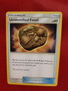 Unidentified Fossil 114/131 - Forbidden Light