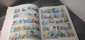 Kirja (Mikki ja Hessu mullin mallin)