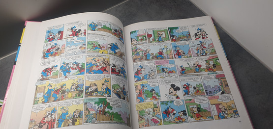 Kirja (Mikki ja Hessu mullin mallin)