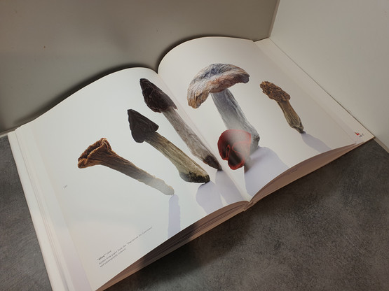 Kirja (Masters of Origami)