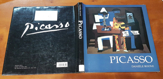 Kierrätyskirja (Daniele Boone - Picasso)