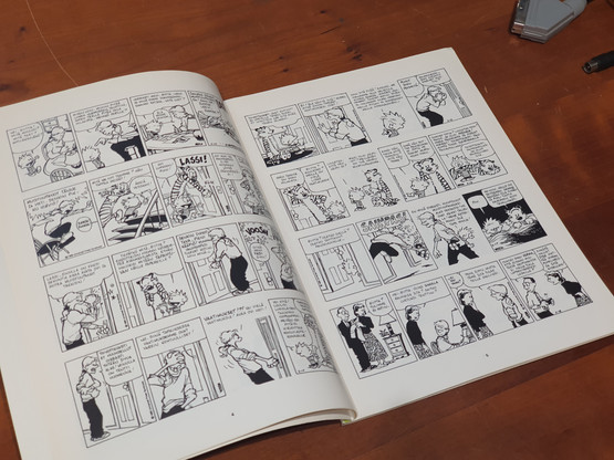 Sarjakuvalehti (Lassi ja Leevi - Täysosuma)