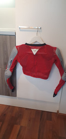 Laskettelusuoja, JR L (Dainese)