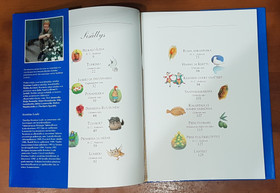 Satukirja (Tie Satulinnaan - Klassisia satuja)