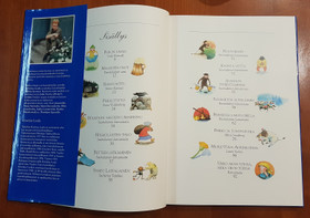 Satukirja (Metsän siimeksessä - Pohjoista taikaa)