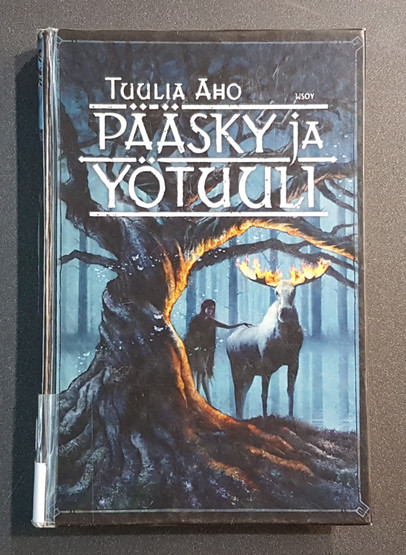 Lasten kierrätyskirja (Tuulia Aho - Pääsky ja Yötuuli)