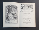Lasten kierrätyskirja (Tony DiTerlizzi - Spiderwickin kronikat: Kolmas osa viidestä: Lucindan salaisuus)