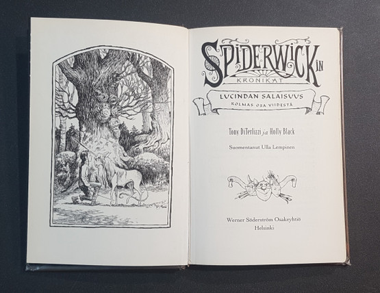 Lasten kierrätyskirja (Tony DiTerlizzi - Spiderwickin kronikat: Kolmas osa viidestä: Lucindan salaisuus)